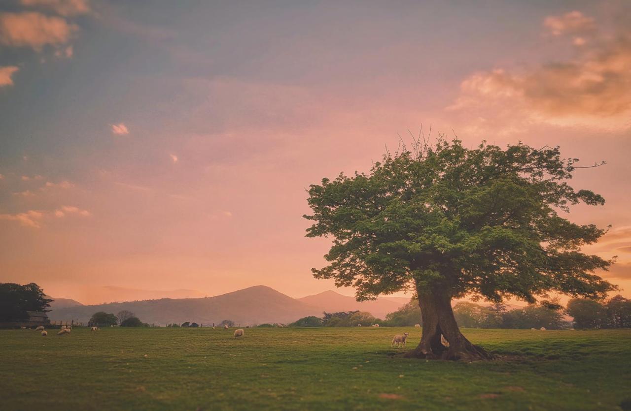 Yr Hen Berllan In The Beautiful Rowen Βίλα Conwy Εξωτερικό φωτογραφία